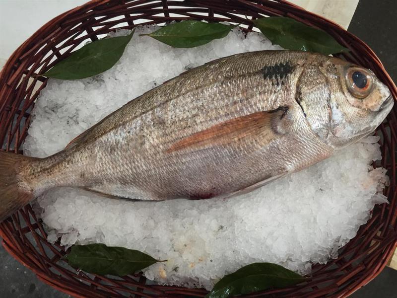 3 propuestas infalibles para cocinar besugo