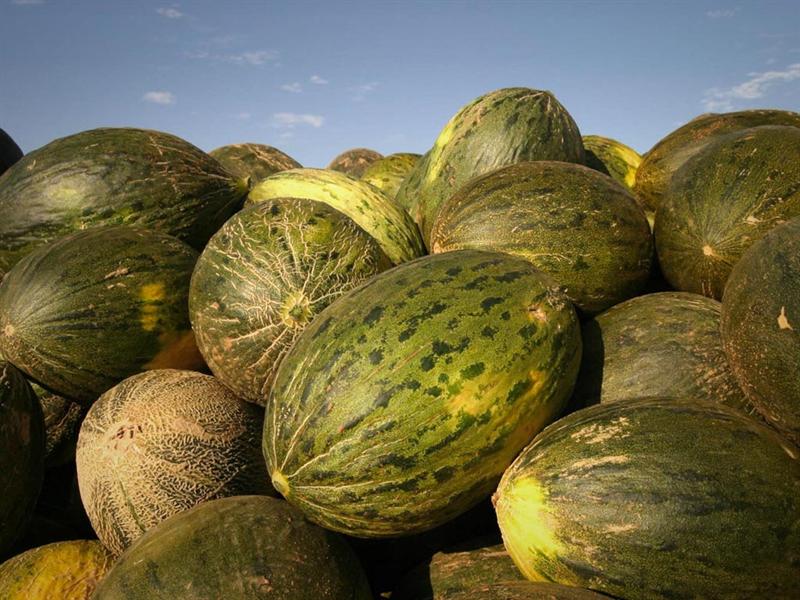 4 refrescantes recetas con melón