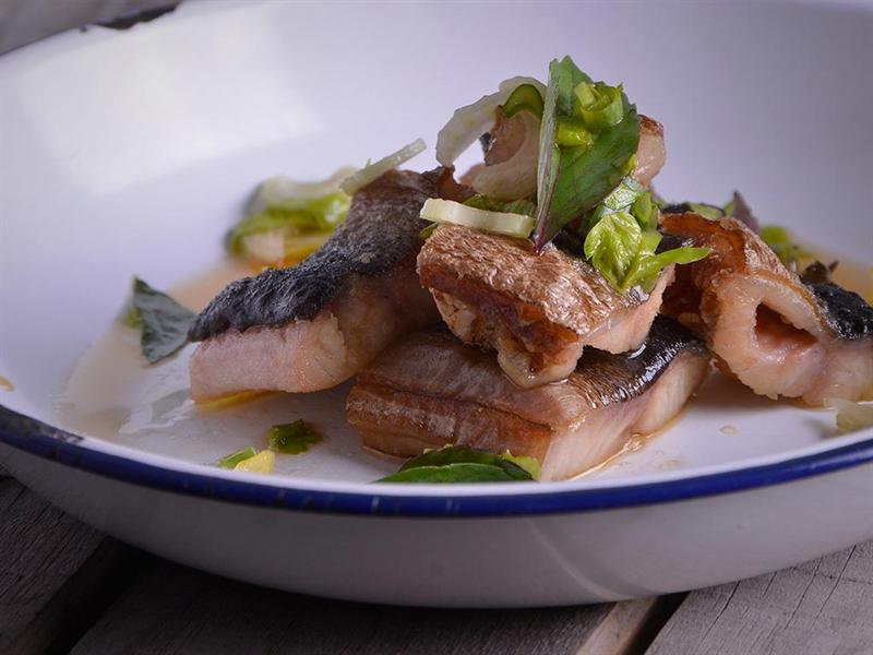 Anguilas, recetas que se salen de lo común