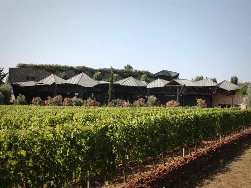 Bodegas míticas: Gaja