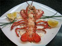 Bogavante cocido