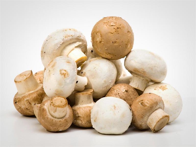Champiñón