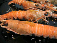 Cigalas asadas