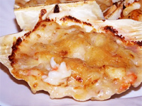 Conchas de Salmón