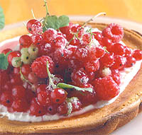 Crema de yogurt