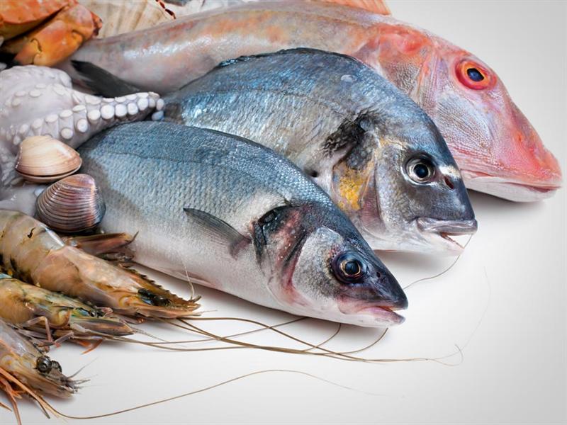 El pescado, múltiples opciones en tu mesa