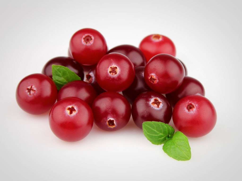El poder antioxidante del arándano rojo