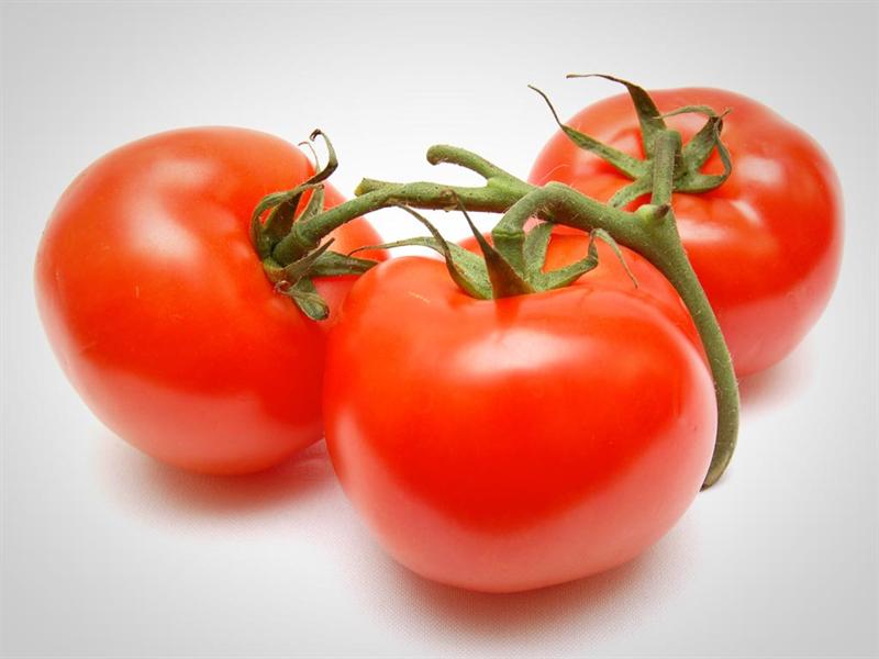 EL TOMATE O JITOMATE