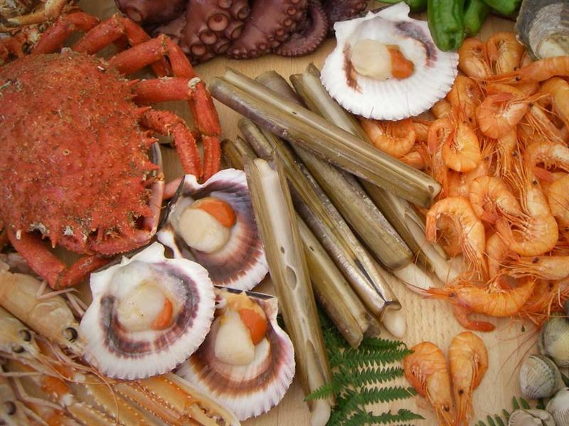 Galicia, variedad y calidad a partes iguales