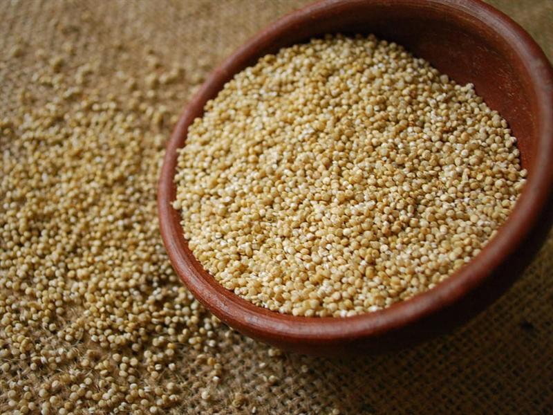 La quínoa