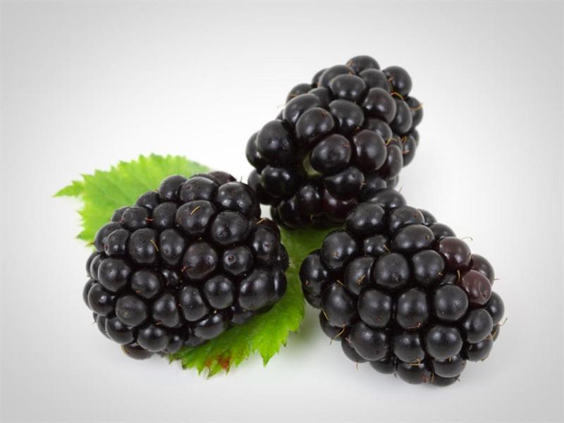 Las moras