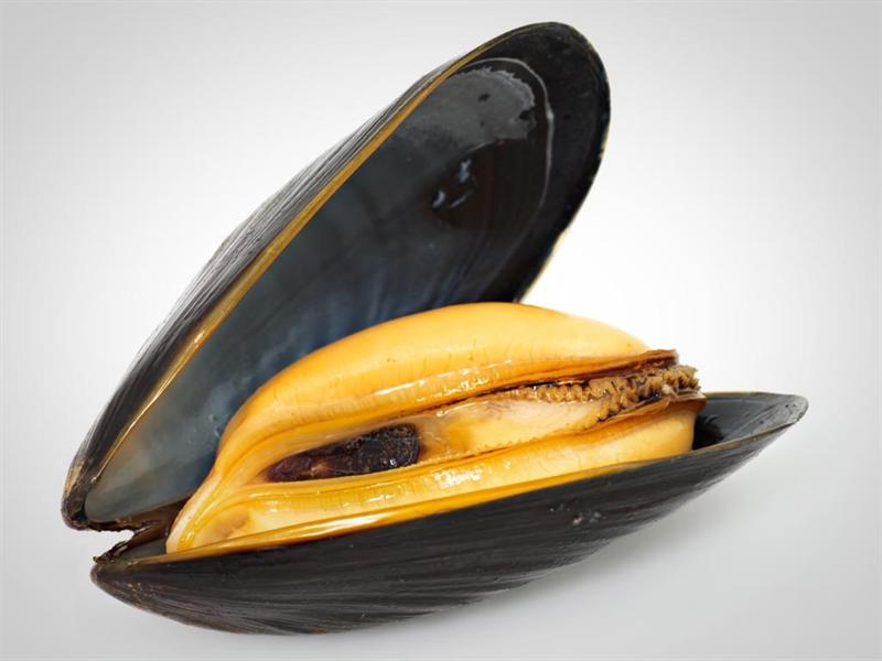 Mejillón: vitaminas y hierro en un pequeño bocado