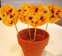 Plantación de queso