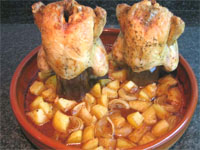 Pollo si lo sé no vengo 