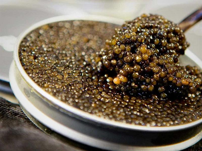 Recetas con langosta que siempre quedan bien