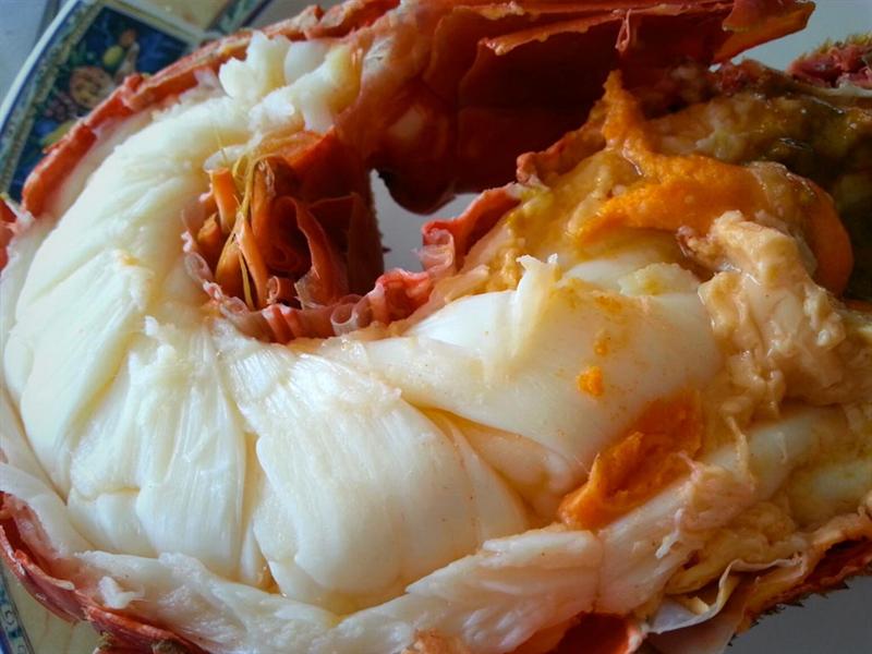 RECETAS CON LANGOSTA QUE SIEMPRE QUEDAN BIEN