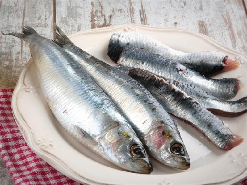Recetas deliciosas con la humilde sardina