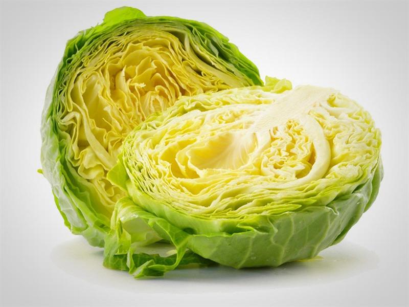 Repollo