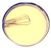 Salsa bechamel o blanca