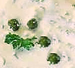 Salsa de alcaparras 