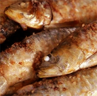 Sardinas al horno II
