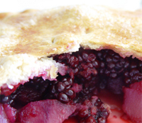 Tarta de nata y mora